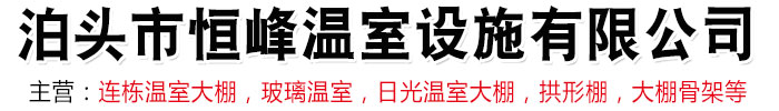 温室大棚,温室大棚骨架,连栋温室大棚,玻璃温室